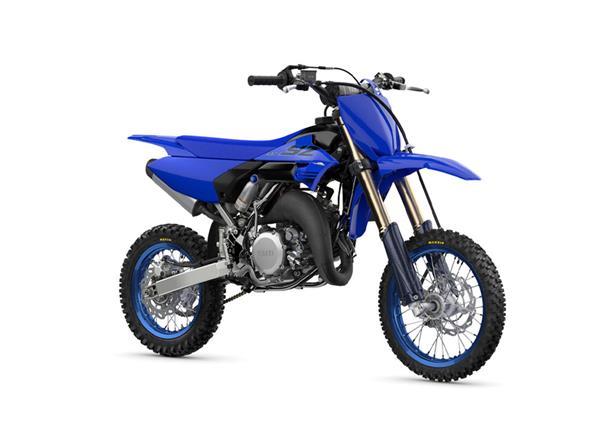 2024 YZ65