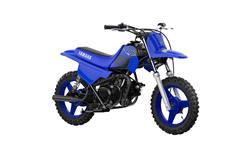 2024 PW50